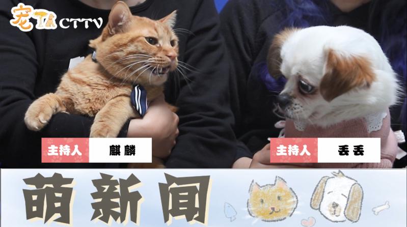 萌新闻第1期：某小区出现全副武装蓝星人，竟是为了... ...